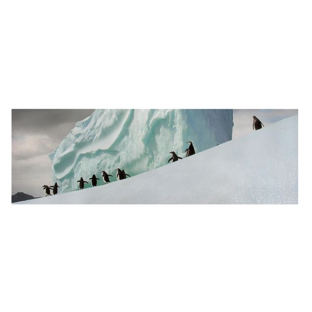 Canvastavlor landskap Arctic Penguins