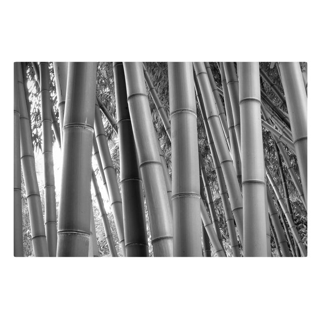 Tavlor landskap Bamboo