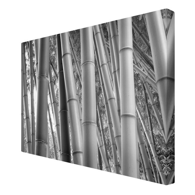 Canvastavlor blommor  Bamboo