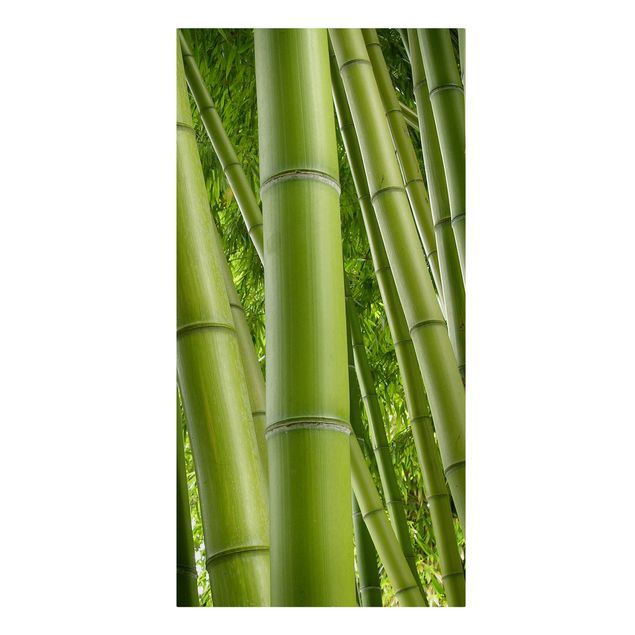 Tavlor landskap Bamboo Trees