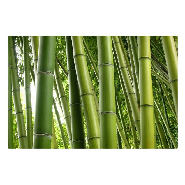 Tavlor landskap Bamboo Trees