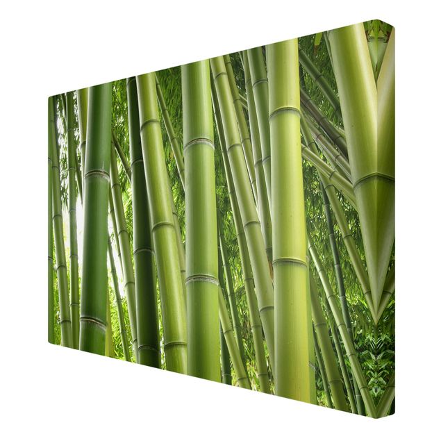 Canvastavlor landskap Bamboo Trees
