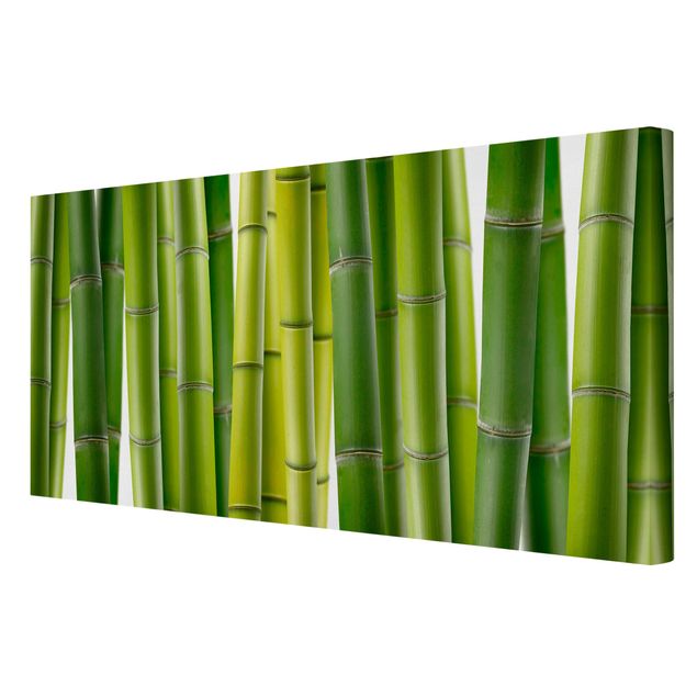 Canvastavlor blommor  Bamboo Plants