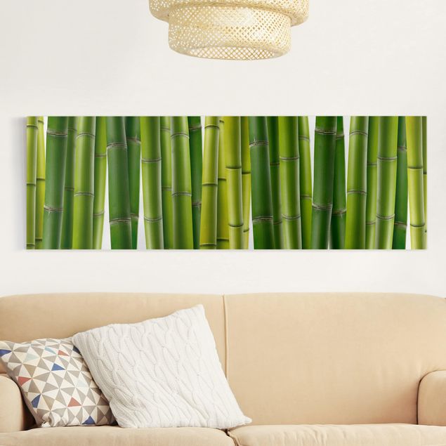 Canvastavlor bambu Bamboo Plants