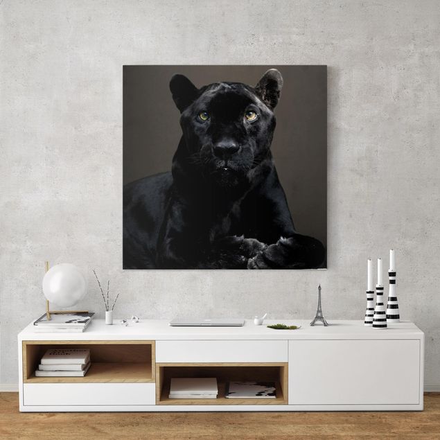 Canvastavlor katter Black Puma