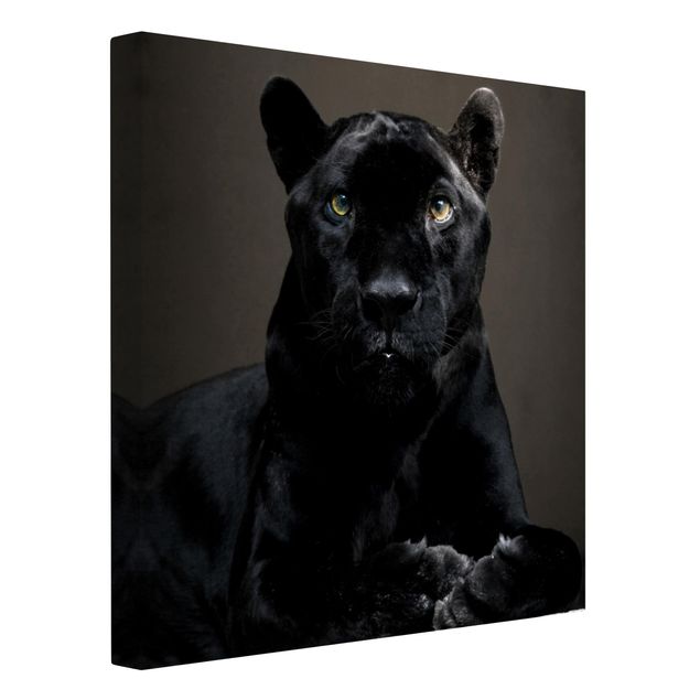 Canvastavlor djur Black Puma