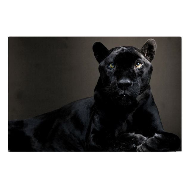 Tavlor modernt Black Puma