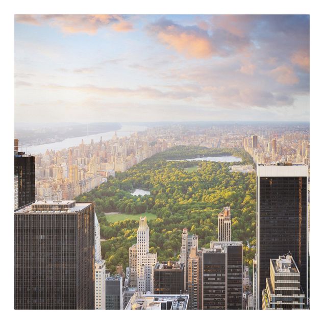 Tavlor arkitektur och skyline Overlooking Central Park