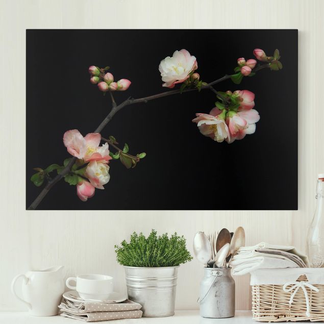 Kök dekoration Blossoming Branch Apple Tree