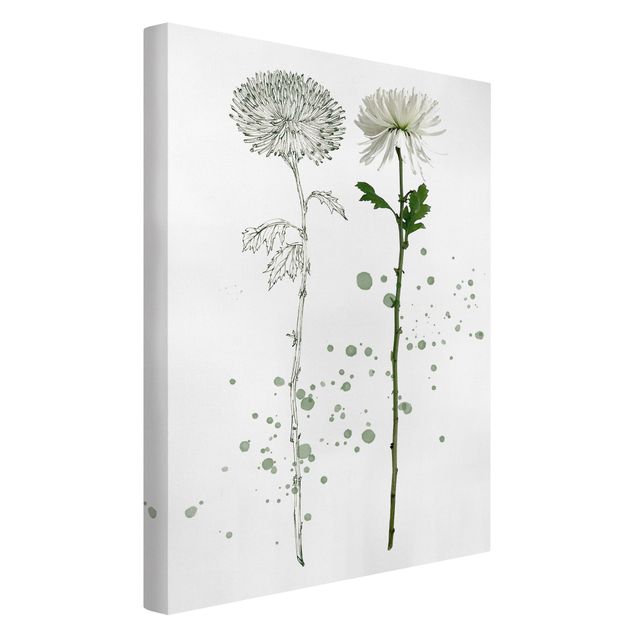Canvastavlor blommor  Botanical Watercolour - Dandelion