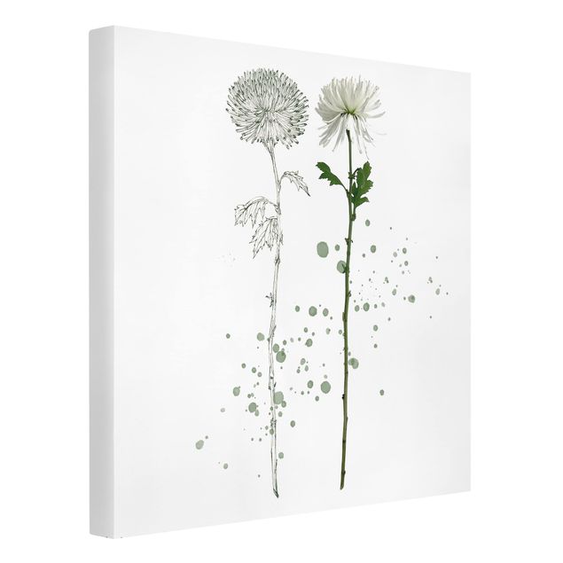 Canvastavlor blommor  Botanical Watercolour - Dandelion