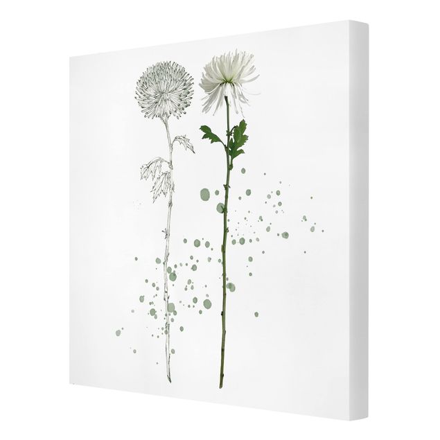 Tavlor blommor  Botanical Watercolour - Dandelion