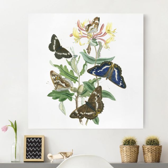 Kök dekoration British Butterflies IV