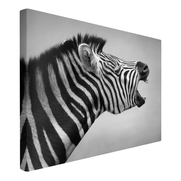 Canvastavlor svart och vitt Roaring Zebra ll