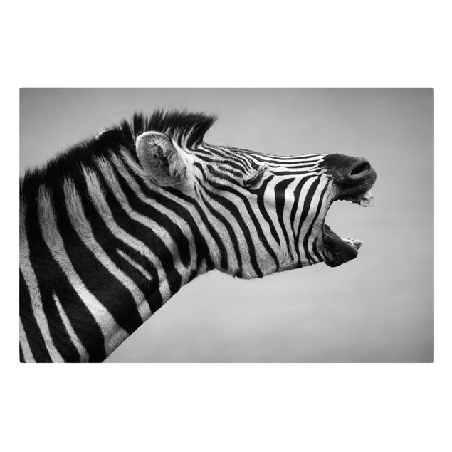 Canvastavlor djur Roaring Zebra ll