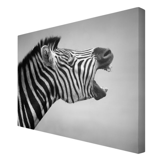 Tavlor Afrika Roaring Zebra ll
