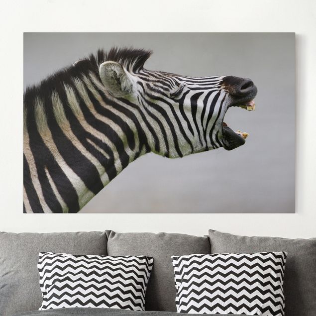 Kök dekoration Roaring Zebra