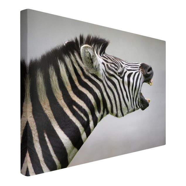Canvastavlor djur Roaring Zebra