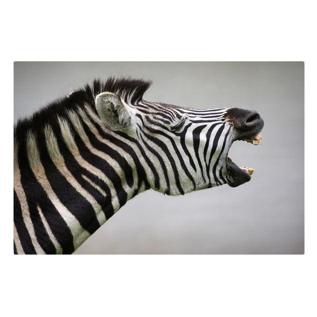 Tavlor modernt Roaring Zebra