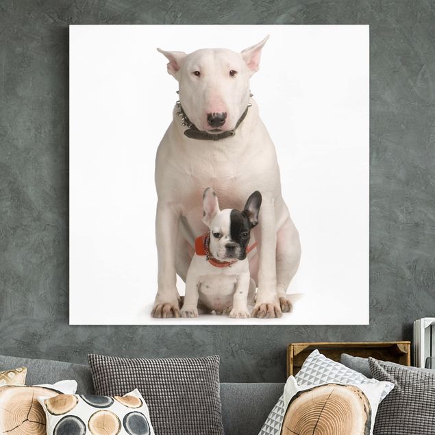 Kök dekoration Bull Terrier and Friend