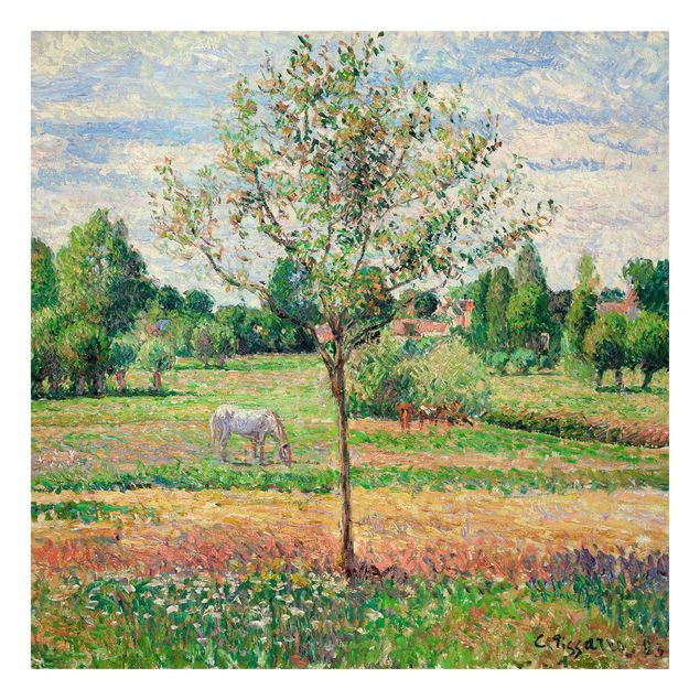 Konststilar Romantik Camille Pissarro - Meadow with Grey Horse, Eragny