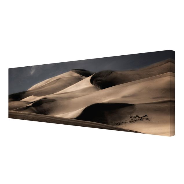 Tavlor natur Colorado Dunes
