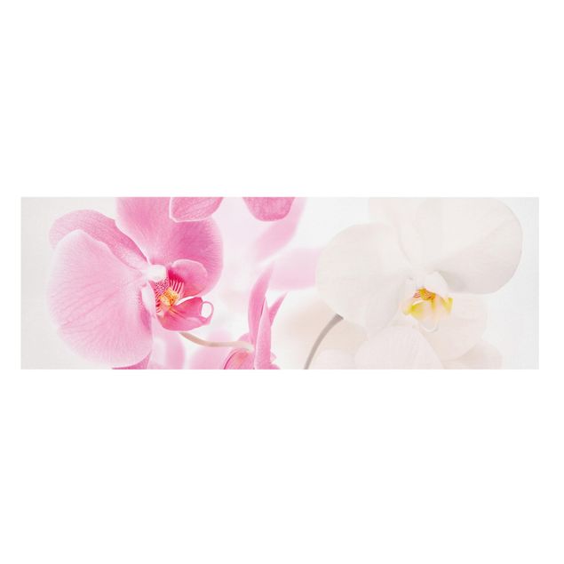 Canvastavlor blommor  Delicate Orchids