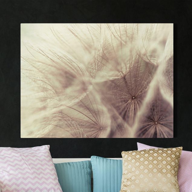 Kök dekoration Detailed Dandelion Macro Shot With Vintage Blur Effect