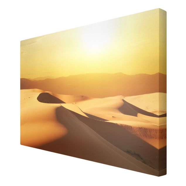 Tavlor natur The Saudi Arabian Desert