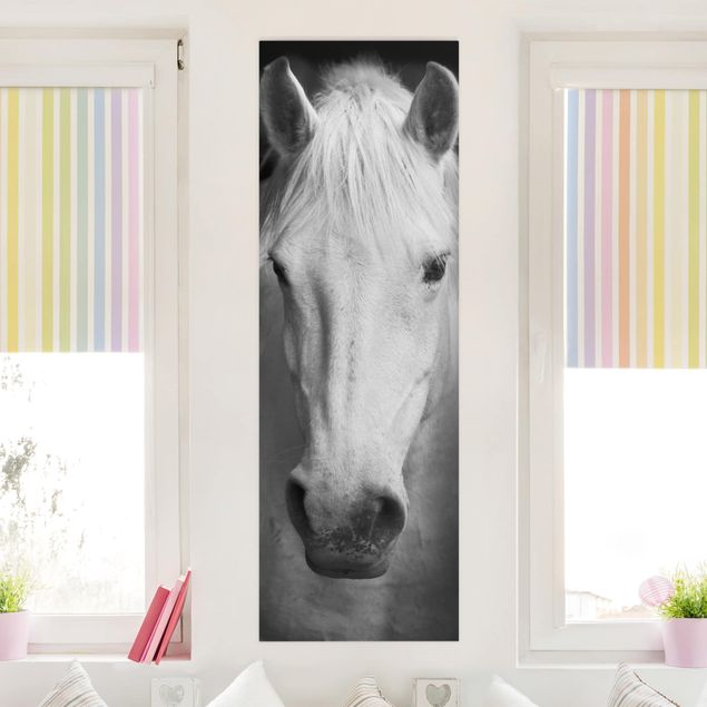 Canvastavlor hästar Dream Of A Horse
