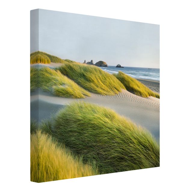 Canvastavlor dyner Dunes And Grasses At The Sea