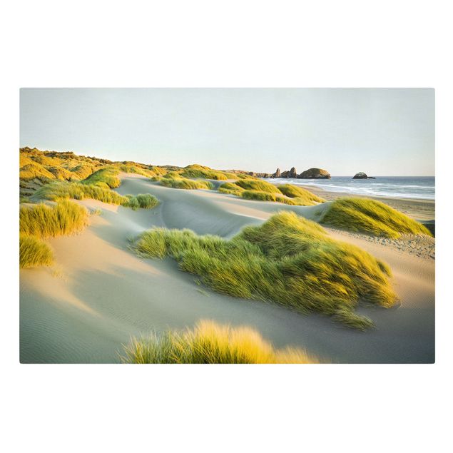 Tavlor bergen Dunes And Grasses At The Sea