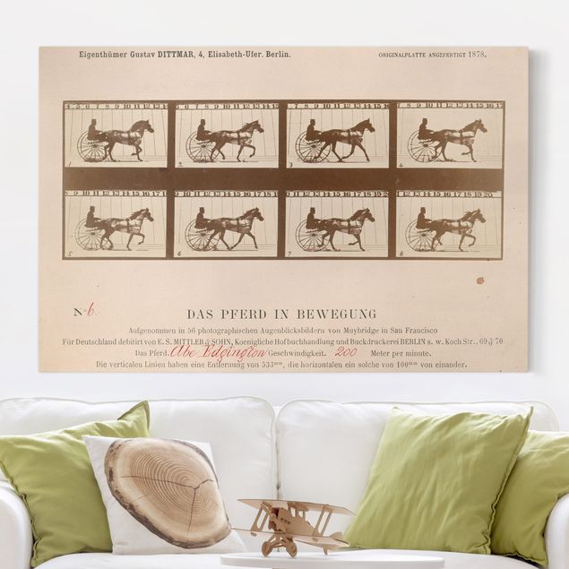Kök dekoration Eadweard Muybridge - The horse in Motion