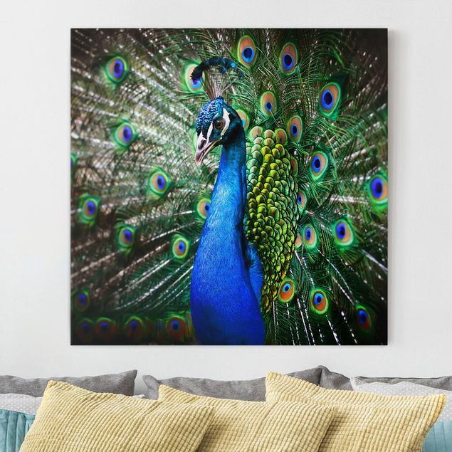 Kök dekoration Noble Peacock