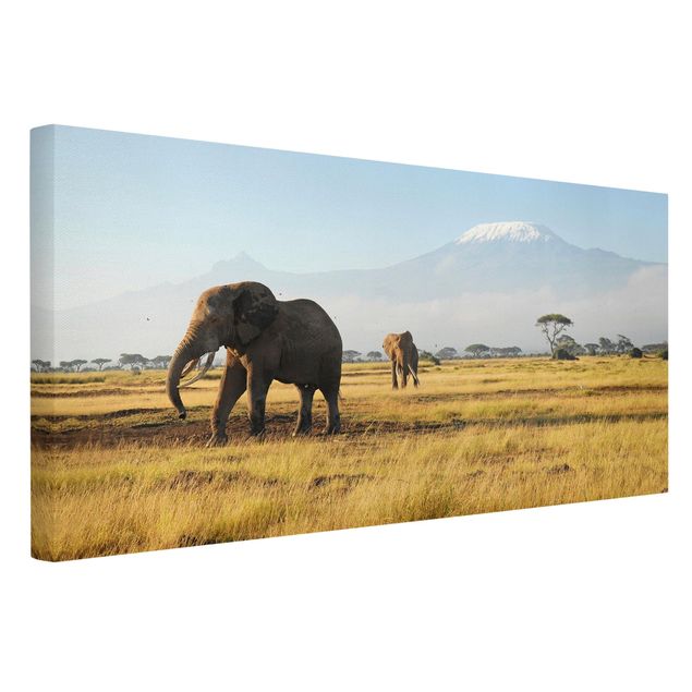 Canvastavlor Afrika Elephants In Front Of The Kilimanjaro In Kenya