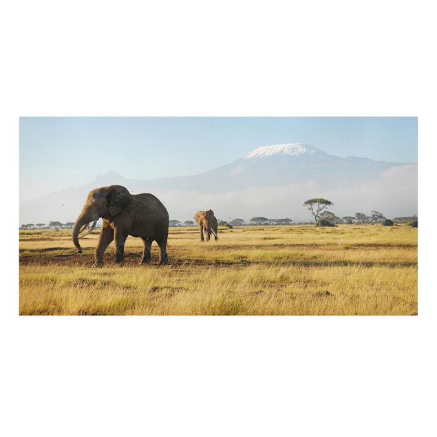 Canvastavlor bergen Elephants In Front Of The Kilimanjaro In Kenya