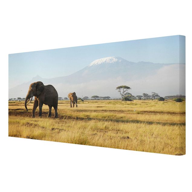 Canvastavlor landskap Elephants In Front Of The Kilimanjaro In Kenya
