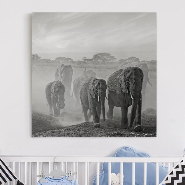 Canvastavlor elefanter Herd Of Elephants
