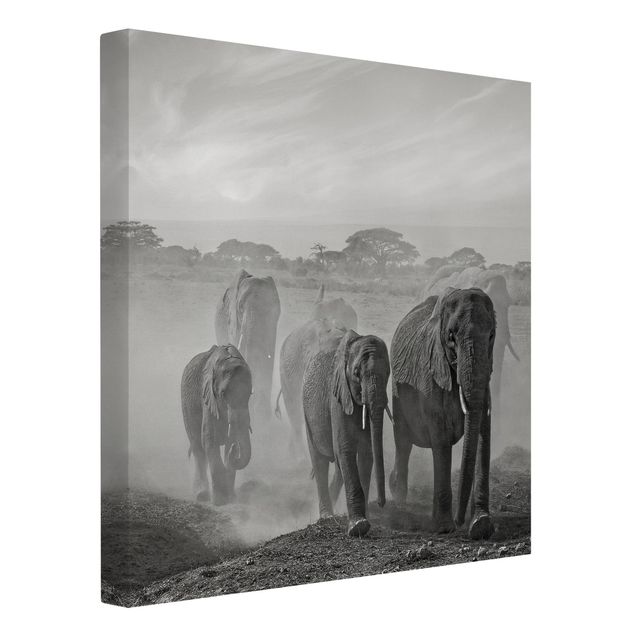 Tavlor landskap Herd Of Elephants