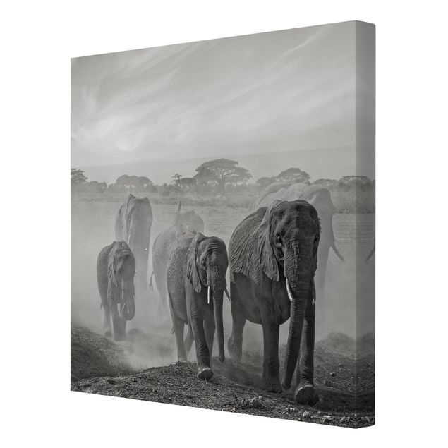 Canvastavlor landskap Herd Of Elephants