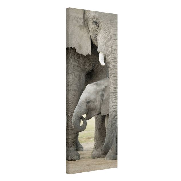 Canvastavlor djur Elephant Love