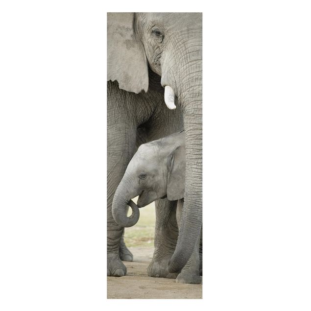 Tavlor Afrika Elephant Love