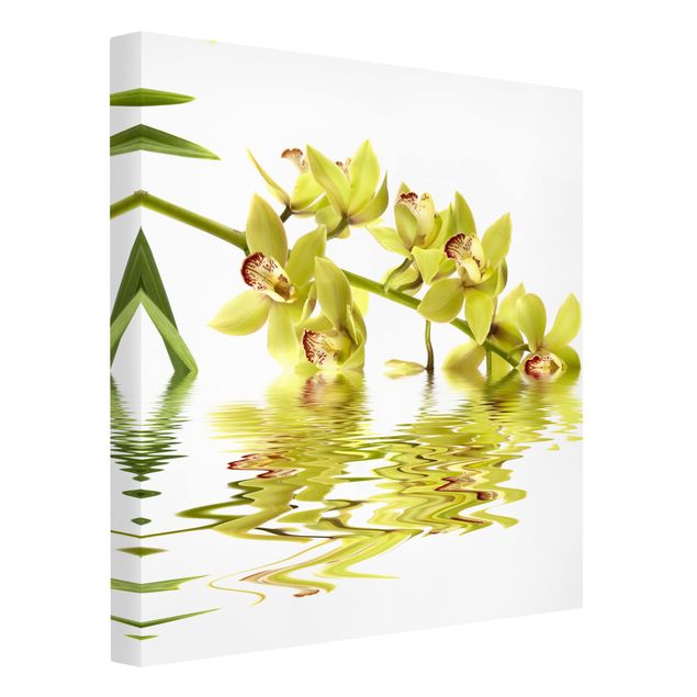 Canvastavlor schemtterlings Elegant Orchid Waters