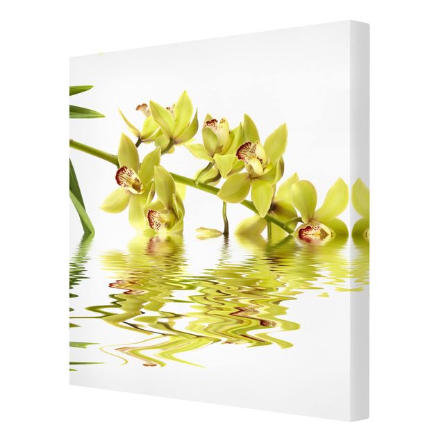 Tavlor blommor Elegant Orchid Waters