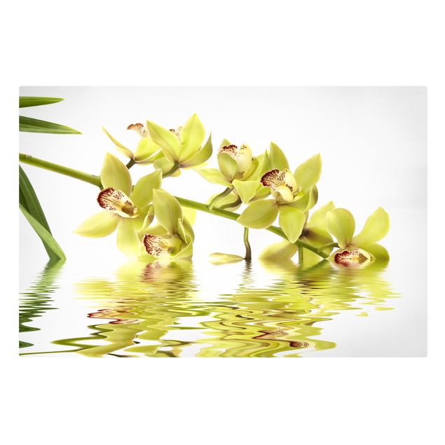 Canvastavlor blommor  Elegant Orchid Waters