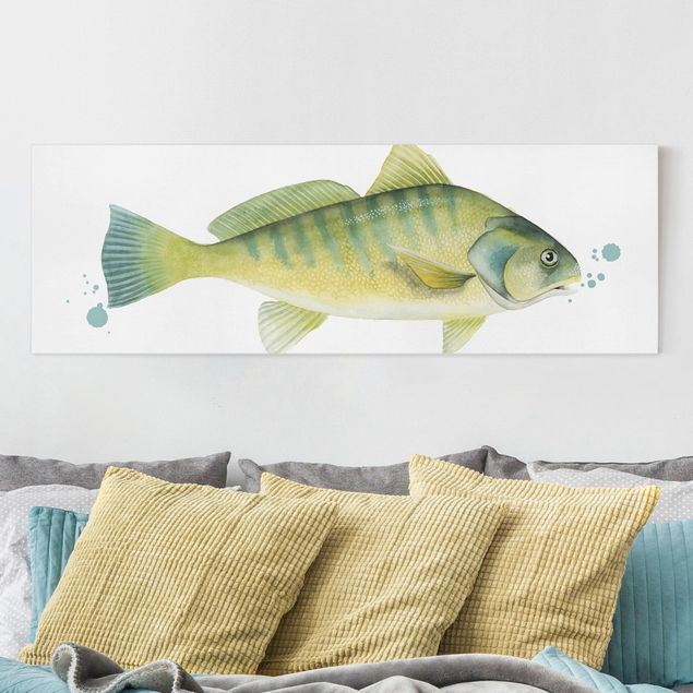 Canvastavlor fisk Color Catch - Perch