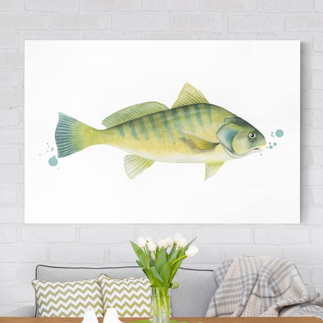 Canvastavlor fisk Color Catch - Perch