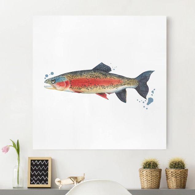Canvastavlor fisk Color Catch - Trout