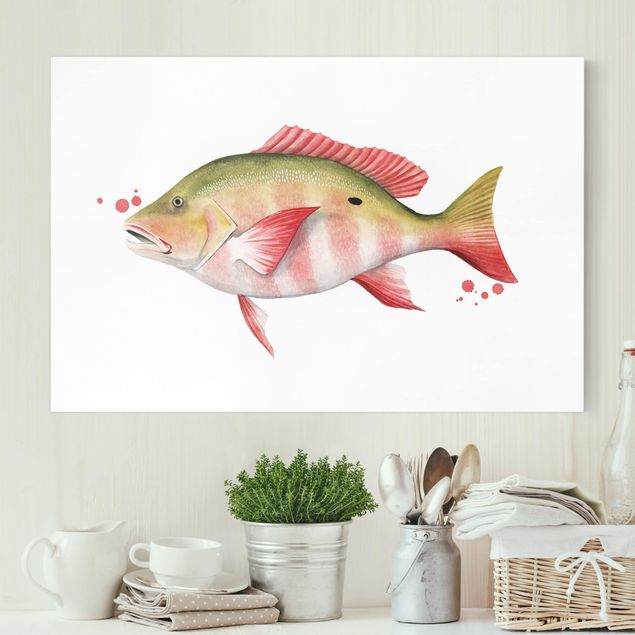 Canvastavlor fisk Color Catch - Northern Red Snapper