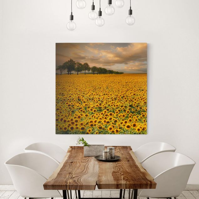 Canvastavlor solrosor Field With Sunflowers